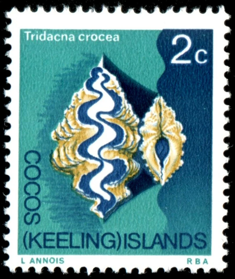 Cocos Keeling Islands 1969 2c Clam MNH - SG 9 - Image 1 of 1