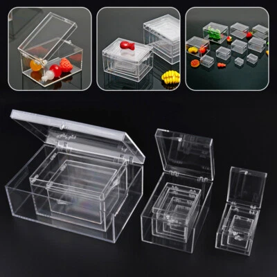 Clear Plastic Box Rectangular Insect Specimen Display Box Storage Organizer Case - Image 1 of 4