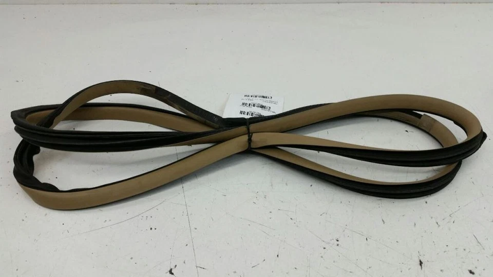 Junta de sellado de jamba trasera izquierda OEM 2007 2008 Nissan Sentra en la carrocería Foto 1 de 1