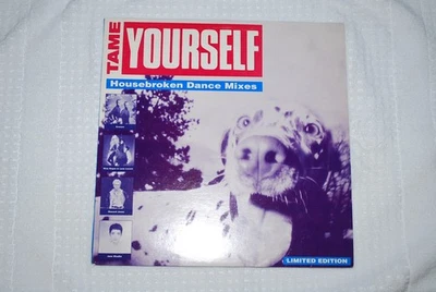 Tame Yourself (Housebroken Dance Mixes) 12" PROMO EP Erasure Jane Wiedlin  Foto 1 de 4