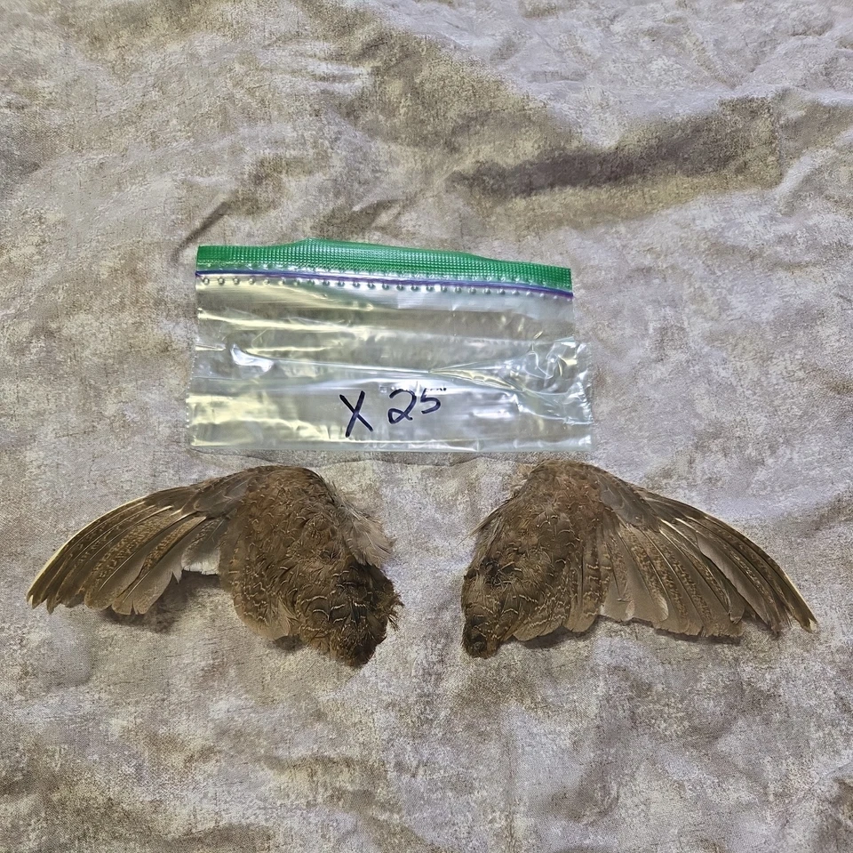 1 комплект перепелиных крыльев - x25 - Изображение 1 из 1