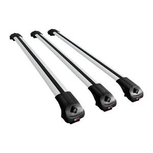 Compatible avec Daihatsu Terios (J100) 1997-2005 ACE-1 Barres de Toit Railing... - Foto 1 di 8