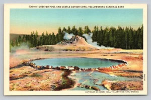 Postcard Crested Pool Castel Geyser Yellowstone National Park VTG Unused Wyoming - Picture 1 of 2