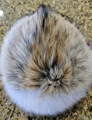 Sombrero ruso de piel de zorro y coyote azul real forrado de cachemir de moda único Foto 1 de 4