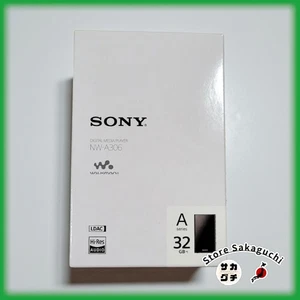 Sony Walkman NW-A306 32GB Hi-Res Audio Player A300 Series Negro Inglés Soporte - Imagen 1 de 20
