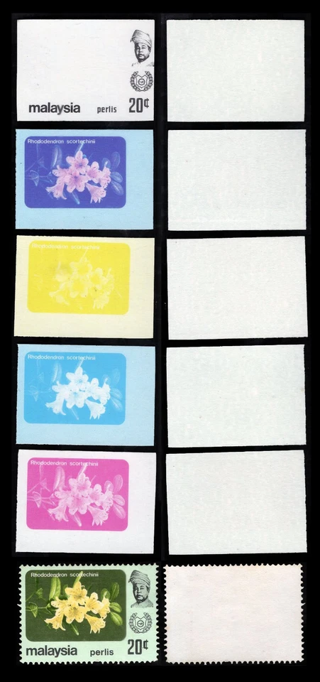 Malaysia 1979 Flowers imperf proof - Perlis 20c 5 different stages. - Image 1 of 1