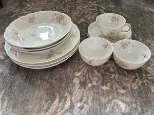 12 Piezas Theodore Haviland Porceline China Pequeños Platos de Cena Sopa Cuencos Tazas Salsa - Imagen 1 de 19