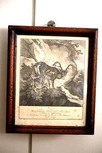 Elias Ridinger Kupferstich Nachdruck - Bild 1 von 3