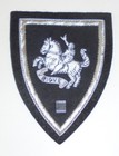 NWO Illuminati Secret Agent ID Card 666 Baphomet Lucifer Officer Uniform Patch ?