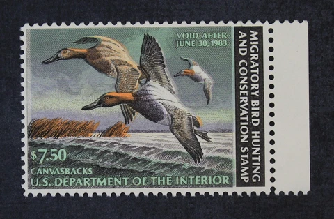 CKStamps : US Stamps Scott #RW49 $7.5 Duck Mint NH OG 1982 $15 Cover