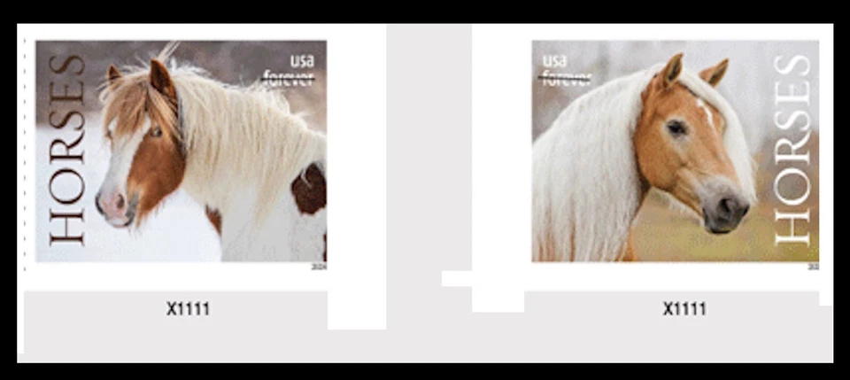 US 5891a 5895a Horses imperf NDC vert gutter plate pair MNH 2024 - Image 1 of 1