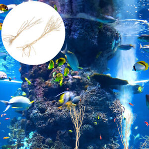 Aquarium Deko Driftwood Luftstein Unterwasser