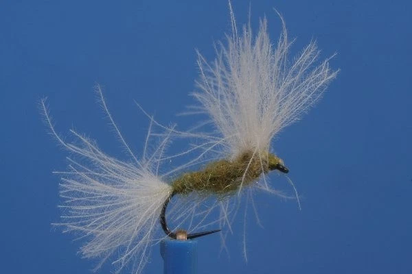 Fliegentom Trockenfliege 3 Stück helle Flymph - Bild 1 von 1