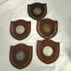 5 International Arabian Horse Association Owner To Ride Medal Medallion - Picture 1 of 8
