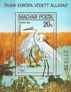 HUNGARY 1980 PROTECTED BIRDS perforated (VERY EXPENSIVE!!!) S/S MNH  - Picture 1 of 1
