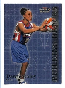 Bloques de construcción Dawn Staley 1999 Skybox Hoops WNBA #BB 1 - Charlotte Sting RC - Imagen 1 de 2