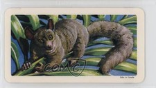 1964 Brooke Bond Red Rose African Animals Tea Canadian Black Backs #2 2p7