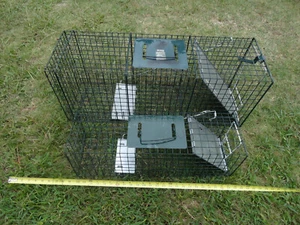 animal cage trap - Picture 1 of 7