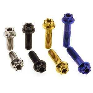 Titanium Screw M6 M8 | Hexagonal Socket with Flange / Torx TX | 2Drive | Titanium - Picture 1 of 5