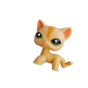 Kurzhaarkatze #1905 - Authentic Littlest Pet Shop - Hasbro LPS - Bild 1 von 3