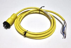 Allen Bradley 889N-F4AE-6F 4-poliges Mini gerade 6' Kabel - Neu - Bild 1 von 4