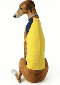 Hundepulli Adidas Windhund Pulli mit Reißverschluss Gr. L - Bild 1 von 9