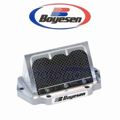 Boyesen Rage Cage for 2003-2004 Arctic Cat Mountain Cat 800 EFI 151 - Fuel & ea Foto 1 de 4