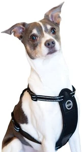 K&H Pet Products Reisesicherheit Haustiergeschirr extra groß schwarz KH7834 - Bild 1 von 2