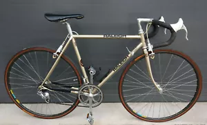 Raleigh TI Team SBDU Gold 52cm Rennrad Campagnolo C Record Delta Reynolds 753 - Bild 1 von 12