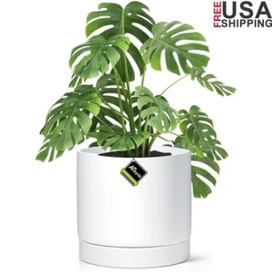 Ceramic Plant Pot W/ Drainage Hole Saucer Indoor Outdoor Modern Planters New - Picture 1 of 7