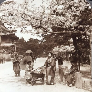 Mütter & Kinder im Shiba Park Tokyo Japan Vintage Stereograph Stereoview Card - Bild 1 von 6