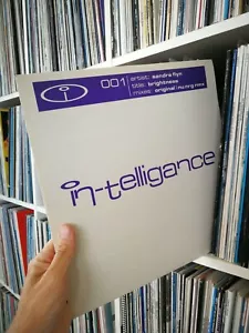 Sandra Flyn - Brightness 12" Vinyl incl NuNrG Remix - In-Telligance001 NEW + RAR - Bild 1 von 8