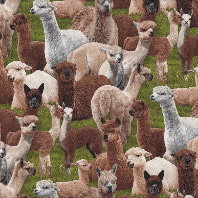 NEW Alpacas on Green Grass Farm Animal Country Quilting Fabric 1/2 Metre - image 1 of 1