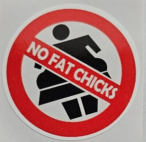 Sticker - Aufkleber - "No Fat Chicks" - Für Motorrad / Helm / Auto - Bild 1 von 2