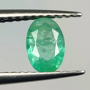 0.49 CT - Natural Zambian Emerald Oval Cut special Luster Gem - 8596 - Imagen 1 de 2