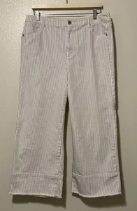 J Jill Denim High-Rise Full Leg Crops Size 14 Vertical Stripe Stretch Pants - Picture 1 of 8