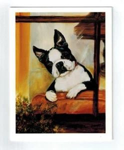 Nuovo Boston Terrier guardando fuori - 6 biglietti vuoti di Ruth Maystead - Foto 1 di 4