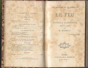 Gabriele D'Annunzio Le Feu Novel 1900 Italian Literature Antique Book - Picture 1 of 6