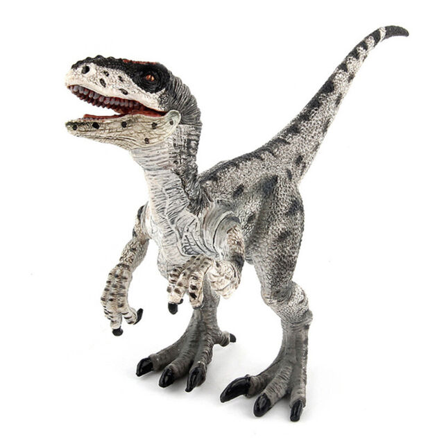 Quebra-Cabeça 3D - Raptor - Coleção Dinossauros - 36 peças