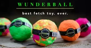 WUNDERBALL Best Dog Ball Fetch Toy, Large Dogs up to 80 lbs. Assorted Color - Picture 1 of 5