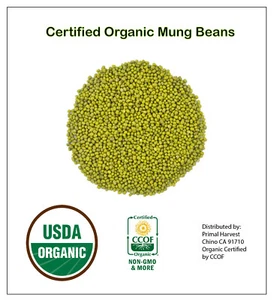 Fagioli MUNG biologici interi essiccati ""Grammo verde"" ""Moong"" prelavati puliti non OGM - Foto 1 di 8