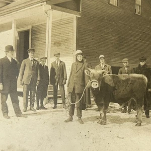 Cabinet Photo Agricultural Class Students Cow Bowler Hat Flat Cap Winter Snow - Picture 1 of 8