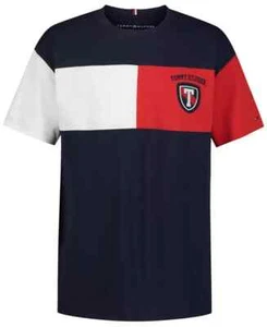 Tommy Hilfiger Crest Colorblock Embroidered Logo Graphic T-Shirt Boys L (12-16) - Picture 1 of 15
