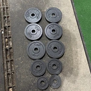 "JUEGO DE PLACAS DE CAMBIO ESTÁNDAR DE HIERRO FUNDIDO DE 1"" (1,25 lb X 2 - 2,5 lb X 2 - 5 lb X 6) tapa" - Imagen 1 de 4