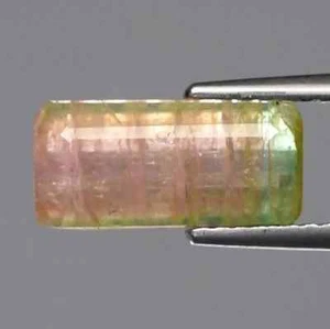 3.73 cts Natural Octagon-cut Green&Pink Watermelon SI2 Tourmaline (Mozambique) - Picture 1 of 2