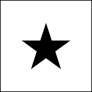 Star Shape Vinyl Decal - Picture 1 of 3