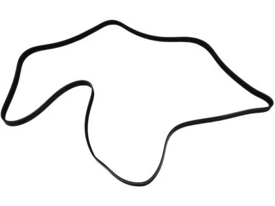 Cinturón multi costilla para Mercury Grand Marquis 2006-2011 28716RC 2007 2008 2009 2010 Foto 1 de 2