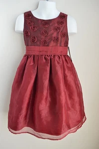 NWT Girls 4 Dress Burgundy Rosettes 3 Layer Skirt Holiday Flower Girl Wedding 4T - Picture 1 of 4