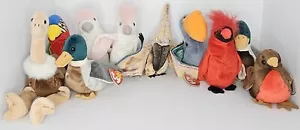Vintage Collection Of 10 Beanie Babies Birds With Tags Ty - Bild 1 von 9