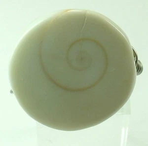 Wire Wrapped Shiva Shell Ring Beach Wedding Handcrafted Statement Ocean - Picture 1 of 2